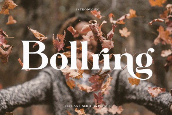 Bollring: A Stylish Serif Font