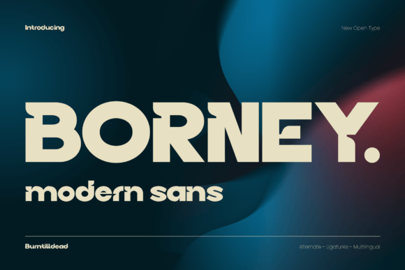 Borney: A Modern Font for Elegant Design