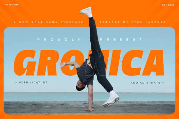 Gronica: A Bold Sans Serif