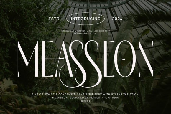 Measseon: A Stylish Serif Font for Business