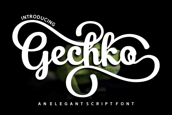 Script Amp for Bold Branding